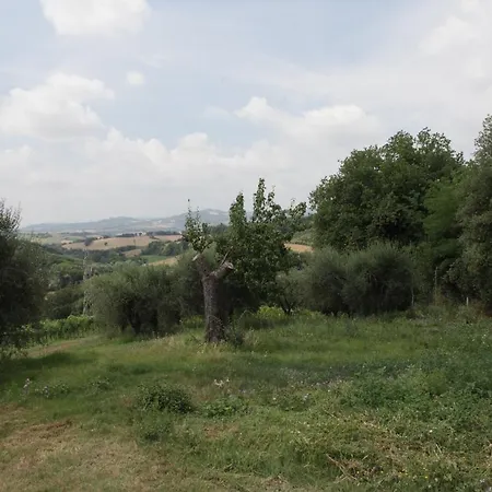 Casale E. Beauharnais Pesaro